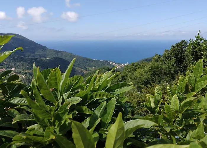 Bed and breakfast Bella 3*