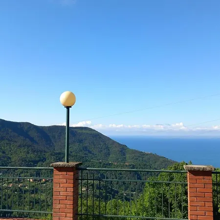 Bella Bracco